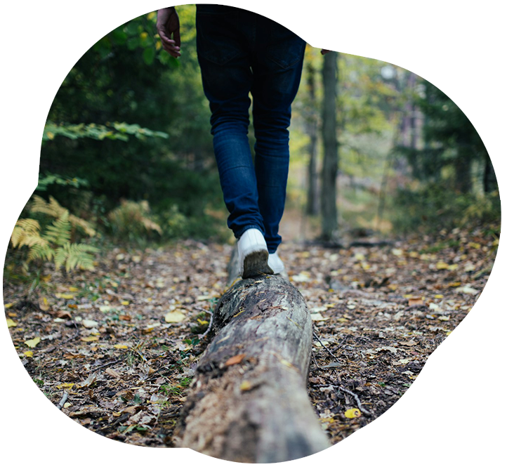 Mind Body Medizin Mind Body Medizin